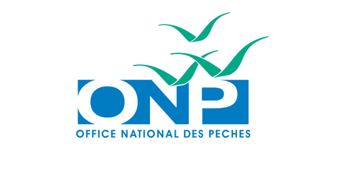 Office-National-des-Peches-Concours-Emploi-Recrutementpng - Dohajob.com